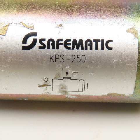Safematic KPS-250 1/4" NPT Hydraulic Filter Assembly