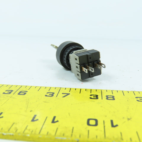 Fuji AH165-2J2A 2-Position Keyed Selector Switch 250V 5A W/ Key