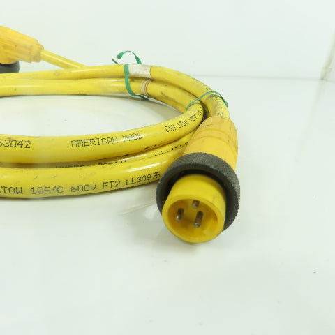 Lumberg RSRKW 301-641/6FT Cordset Cable 3-Pin Male/Female