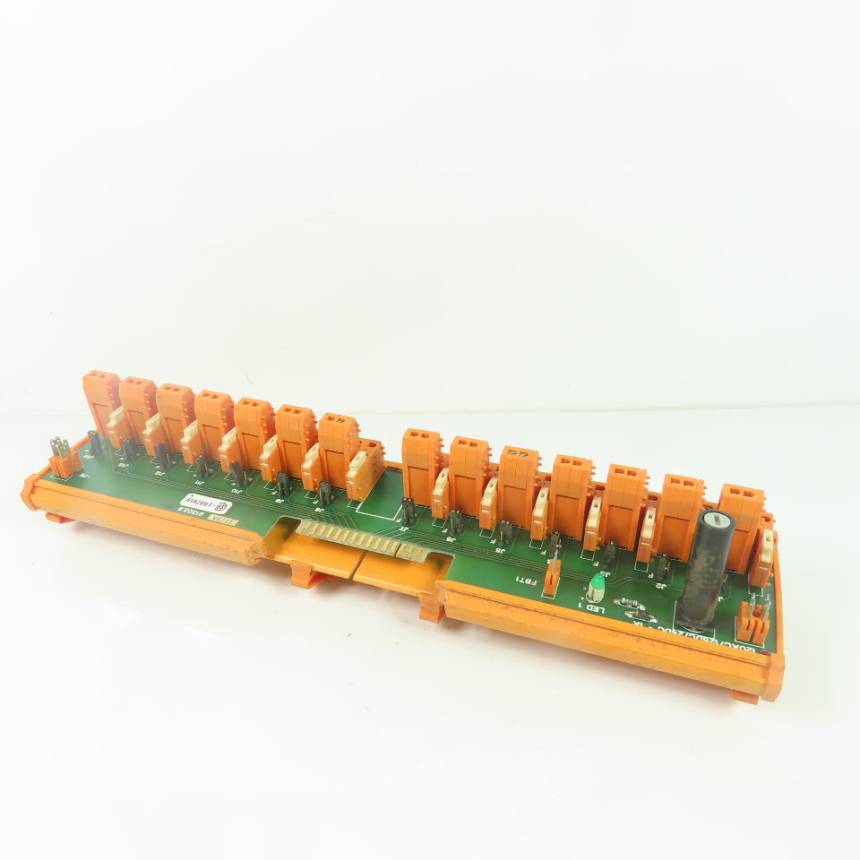 Weidmuller 91302.9 Terminal Assembly Outlet Module 120VAC 125/24VDC