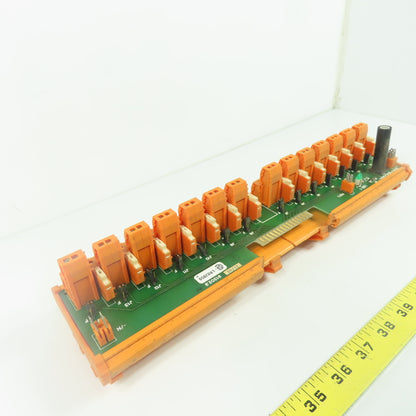 Weidmuller 91302.9 Terminal Assembly Outlet Module 120VAC 125/24VDC