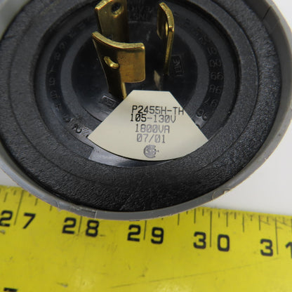 Lumatrol P2455L & P2455H-TH 120V Delayed Response Light W/ Fiberglass Enclosure