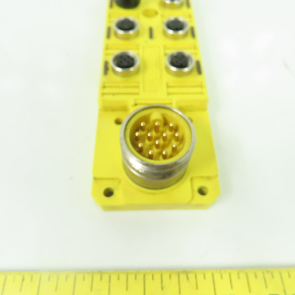 Brad Harrison BTY801P-FBB PNP Connect Top Mount 8-Port Connector