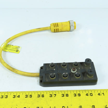 TPC Wire & Cable 34018 8-Port Connection Distribution Box 12-Pin Cable