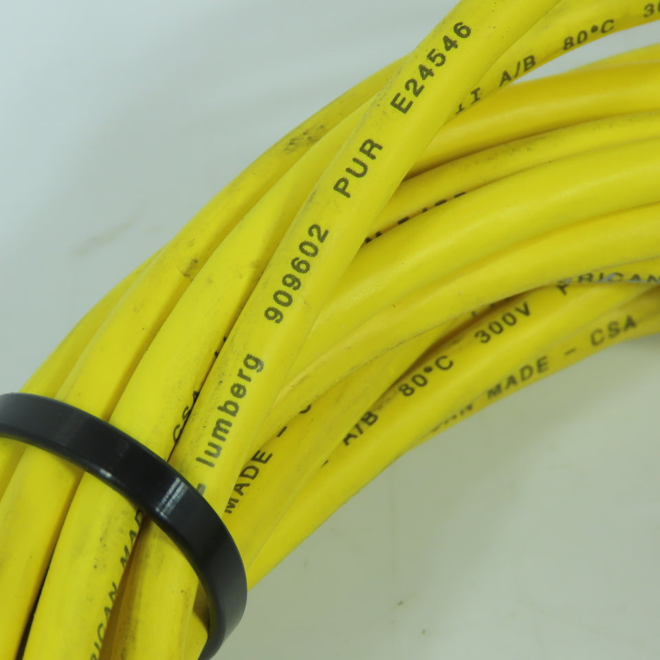 Lumberg 909602 Cable Cordset Assembly 18 AWG 4 Conductor 300V 30' Long