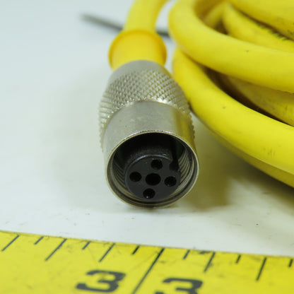 Lumberg 909602 Cable Cordset Assembly 18 AWG 4 Conductor 300V 30' Long