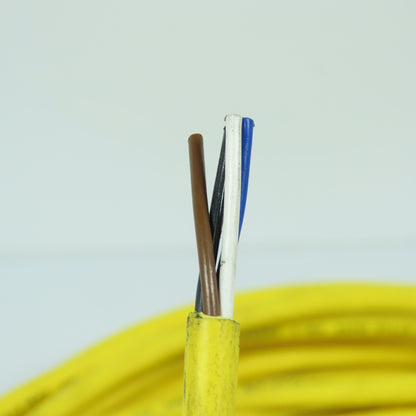Lumberg 909602 Cable Cordset Assembly 18 AWG 4 Conductor 300V 30' Long