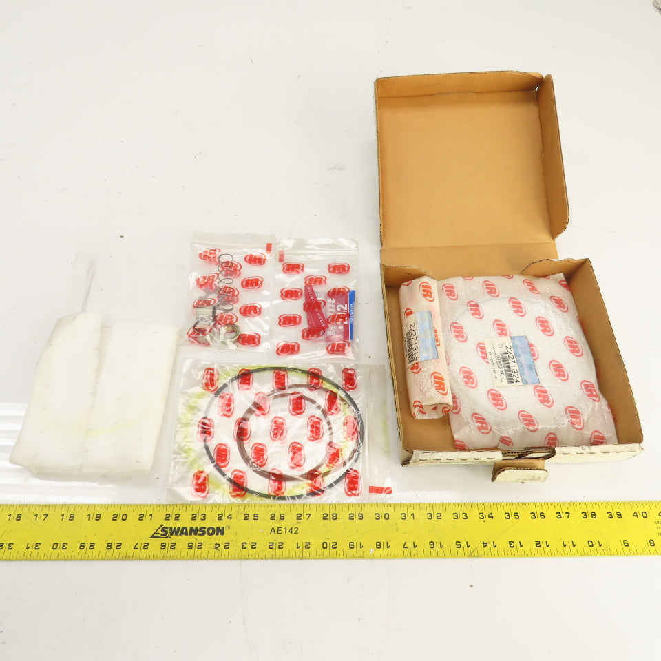 Ingersoll Rand 42542795 New OEM Inlet Check Valve Repair Kit 22271324 + 22271316
