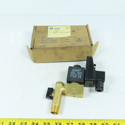 Filme 37995891 Automatic Timed Drain Valve Kit 1/2" 110VAC New