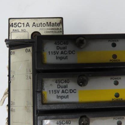 Reliance 45C1A Automate Programmable Controller W/ (5) 45C40 Input Modules 115V