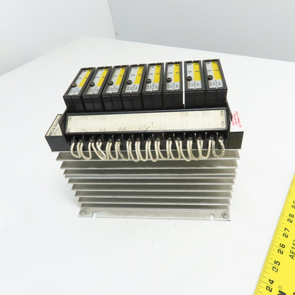 Reliance 45C1A Automate Programmable Controller W/ (5) 45C40 Input Modules 115V