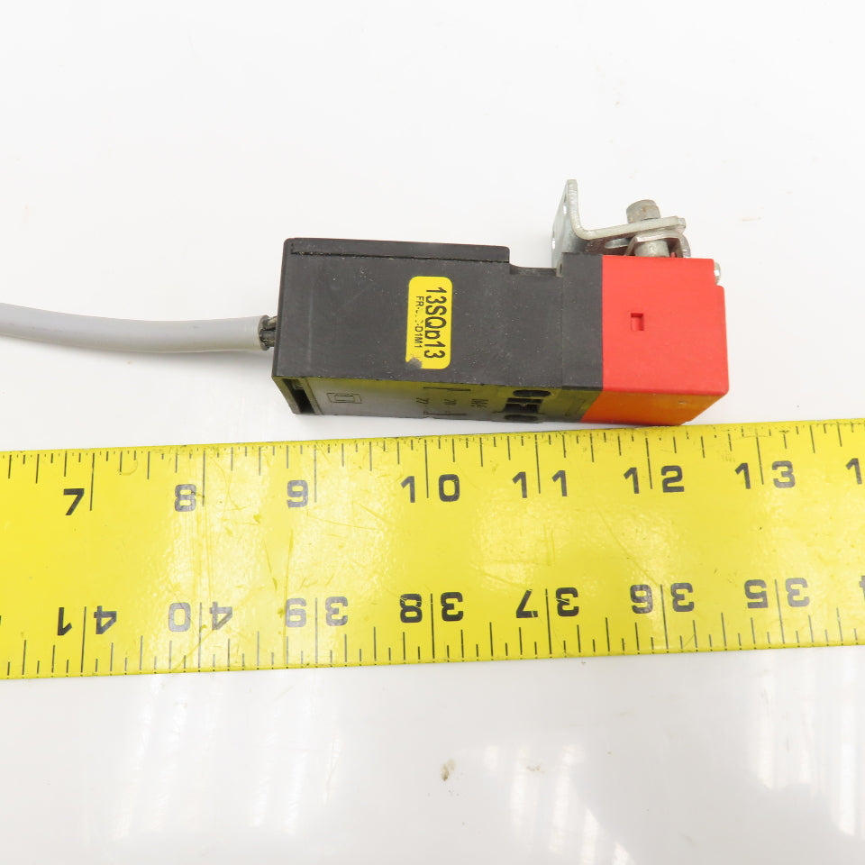 Pizzato FR 993-D1M1 Safety Interlock Switch W/ Key 400V