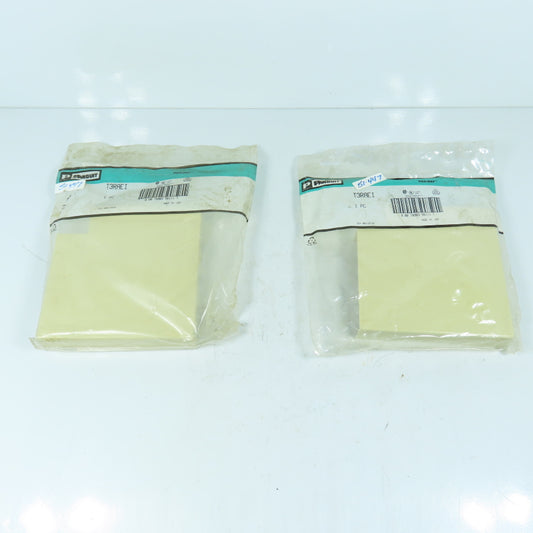 Panduit T3RAEI Type T3 Non-Metallic Surface Raceway Right Angle Lot Of 2