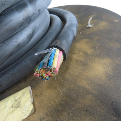Carol P-7K-123033 16-Wire Black Stranded Copper Wire Water Resistant 30'