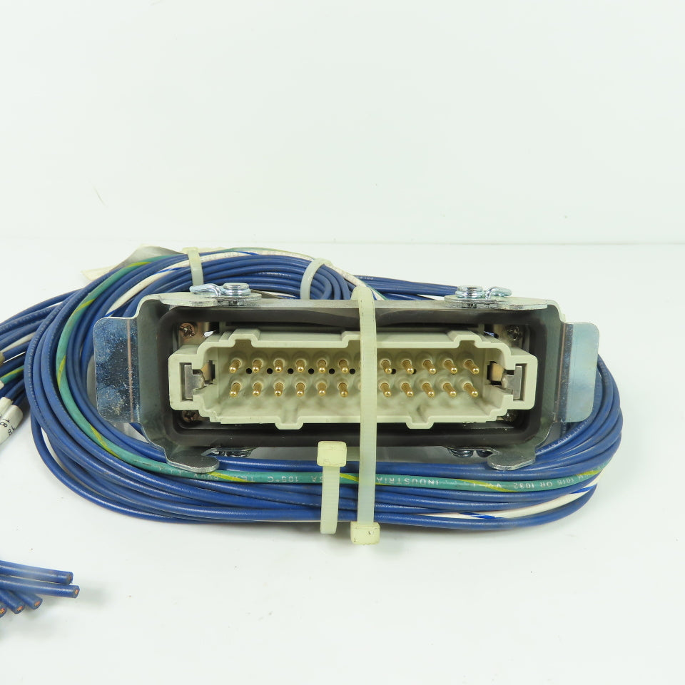 Energy Electric H24EG16-MR-W3 24 Pos Male Receptacle 3' Long