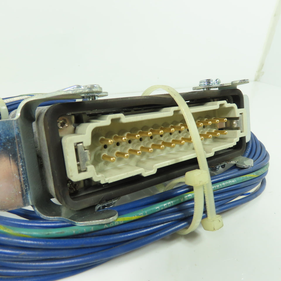 Energy Electric H24EG16-MR-W3 24 Pos Male Receptacle 3' Long