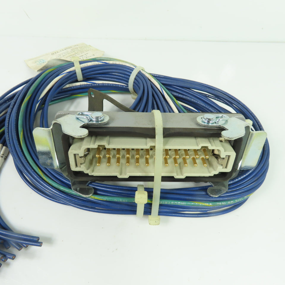 Energy Electric H24EG16-MR-W3 24 Pos Male Receptacle 3' Long