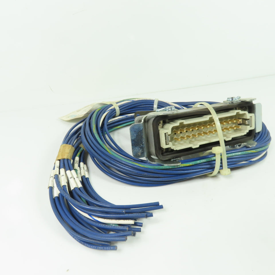 Energy Electric H24EG16-MR-W3 24 Pos Male Receptacle 3' Long
