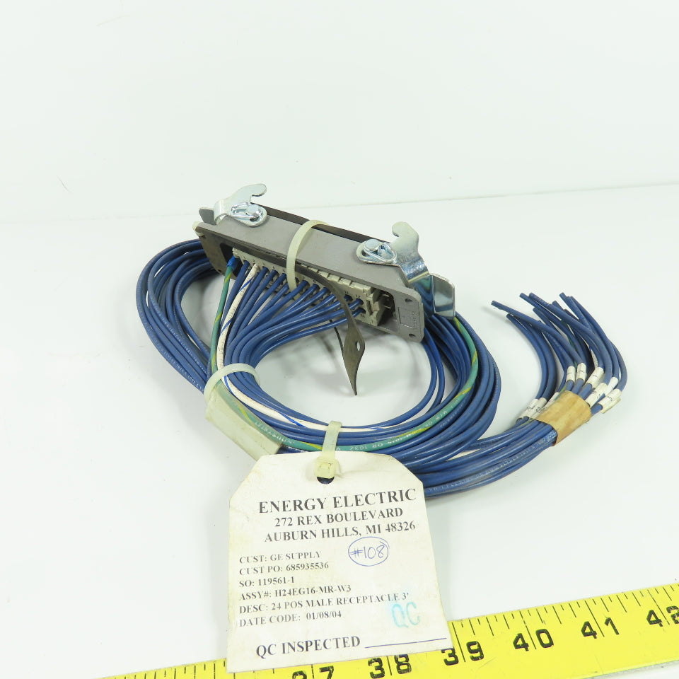Energy Electric H24EG16-MR-W3 24 Pos Male Receptacle 3' Long