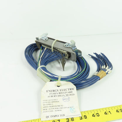 Energy Electric H24EG16-MR-W3 24 Pos Male Receptacle 3' Long
