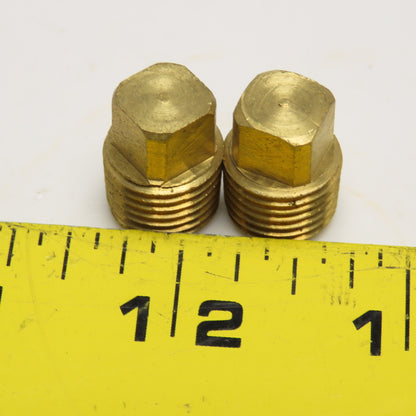 1/4" NPT Brass Square Head Plug Lot Of 2