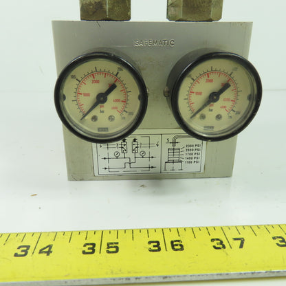 Safematic PBSG-PK /US Hydraulic Valve Manifold Assembly W/ (2) SG-PK100-160