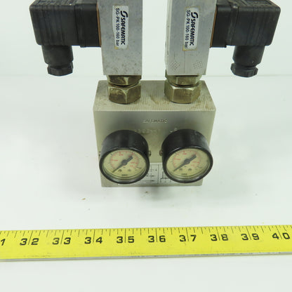 Safematic PBSG-PK /US Hydraulic Valve Manifold Assembly W/ (2) SG-PK100-160