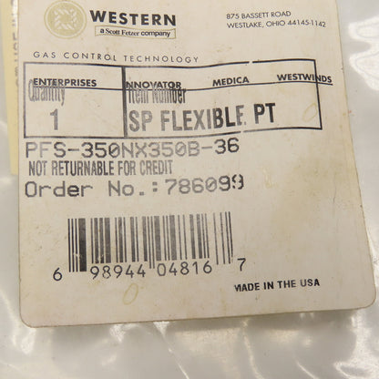 Western 350NX350B-36 LP Gas Hose Bib x 3/8" NPT Left Hand Thread 36" OAL