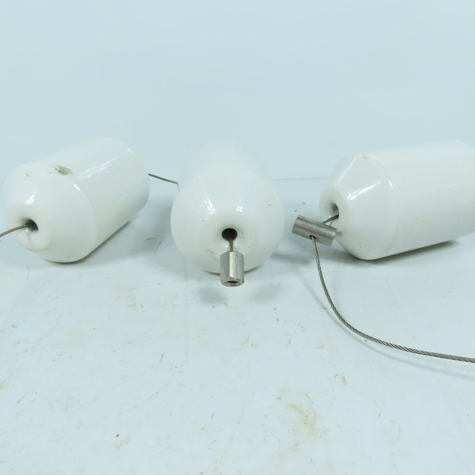 Magnetrol XA10-1G2A-ANM Porcelain Displacer Set W/Cable for Level Switch Lot/3