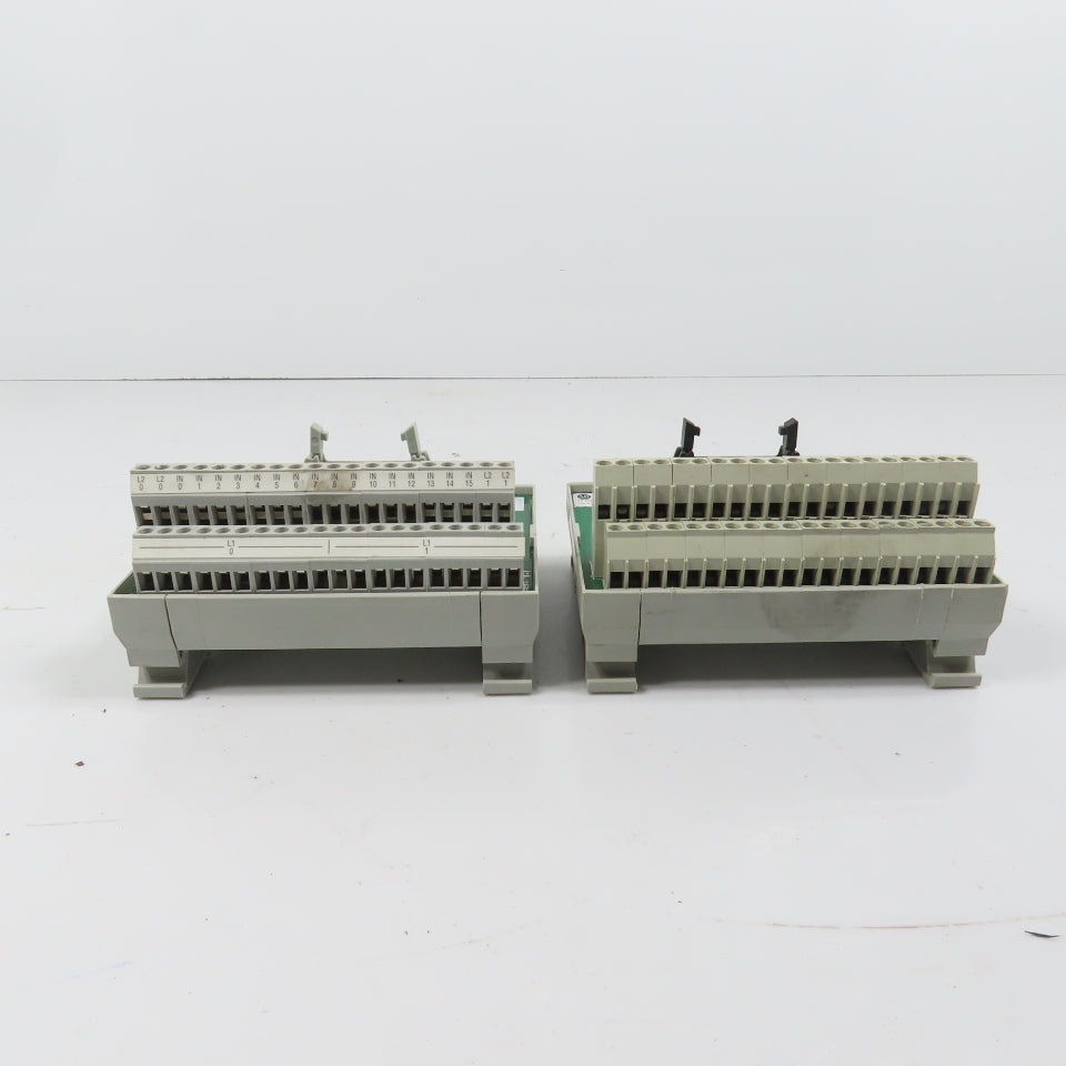Allen Bradley 1492-IFM20F-2 Ser B 20 Point Feed Through Digital IFM Lot Of 2