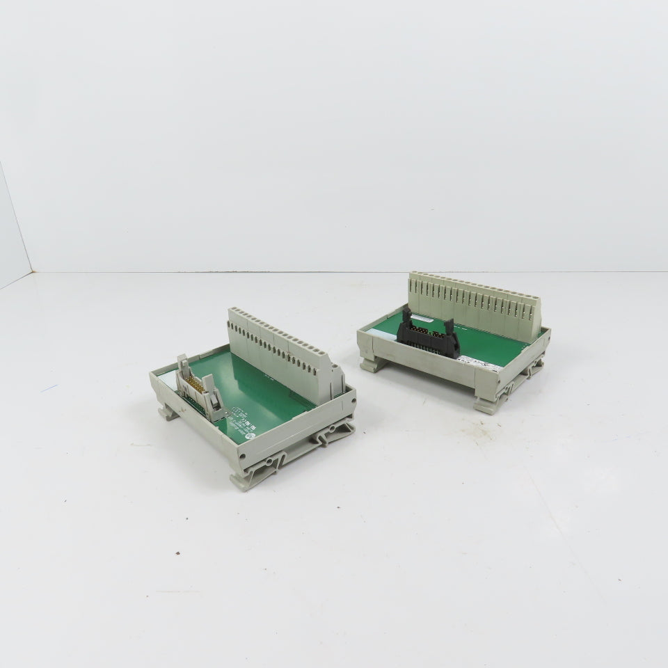 Allen Bradley 1492-IFM20F-2 Ser B 20 Point Feed Through Digital IFM Lot Of 2