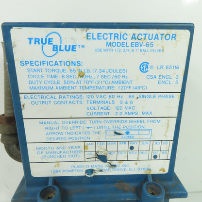True Blue Plas-O-Matic EBV-65 Electric Actuator Valve 1/2" 120VAC 2A