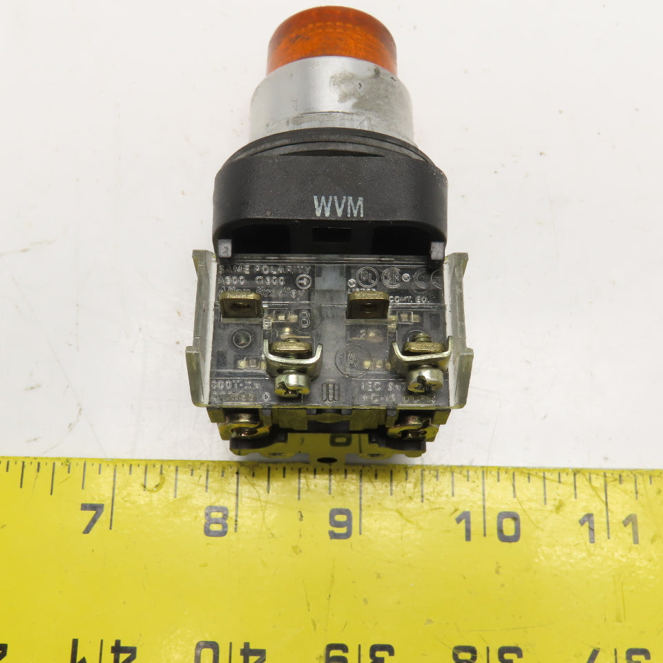 Allen Bradley 800T-PB16 120V 50/60Hz Momentary Contact Illuminated Push Button
