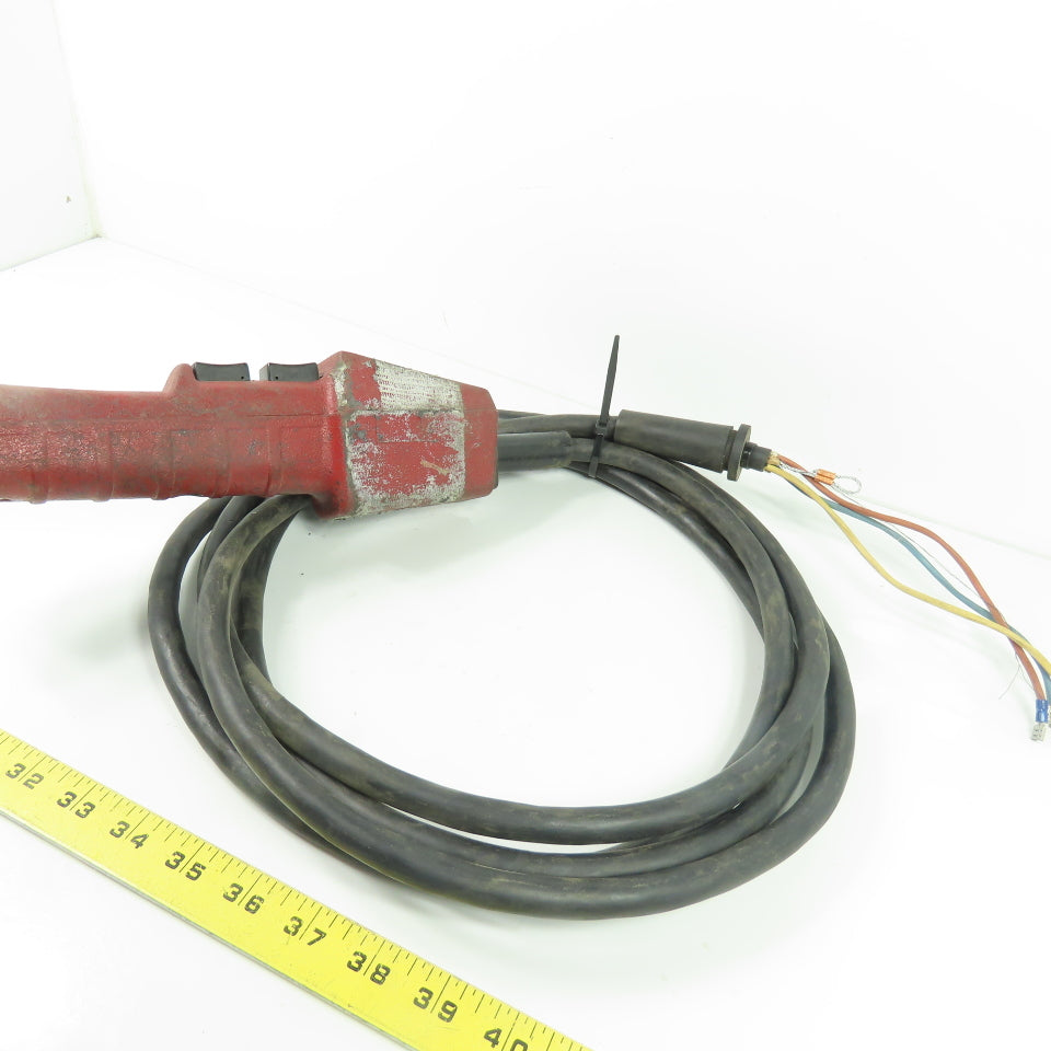 2-Button Up/Down Hoist Pendant Control Station