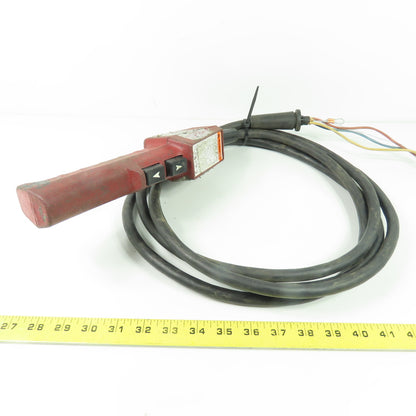 2-Button Up/Down Hoist Pendant Control Station