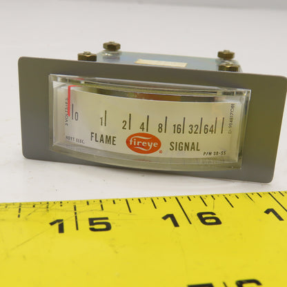 Hoyt Electric 38-55 Fireye Flame Signal Panel Meter