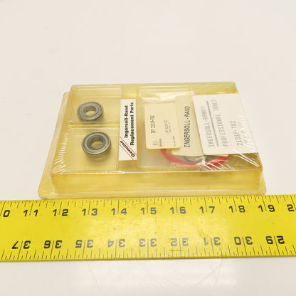 Ingersoll Rand 2131P-TK2 Professional Tools Tune-Up Kit