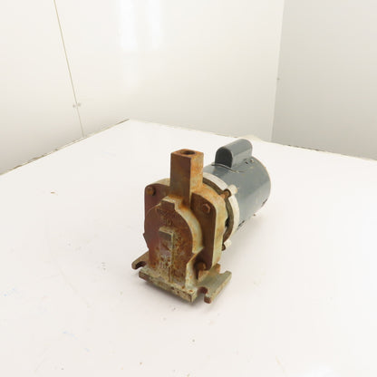 Hoffman DP0009 1/3HP Pump & Motor 115/208-230V 1Ph 3450RPM Tested