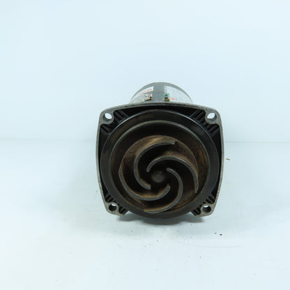 Dayton 5PXC2A 1/2HP Electric Pool Pump Motor 115/230V 1Ph 3450RPM 56Y Frame
