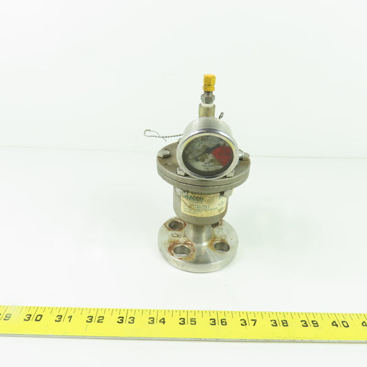 Blacoh Stainless Steel Pulsation Dampener with Gauge 1/2" Flange
