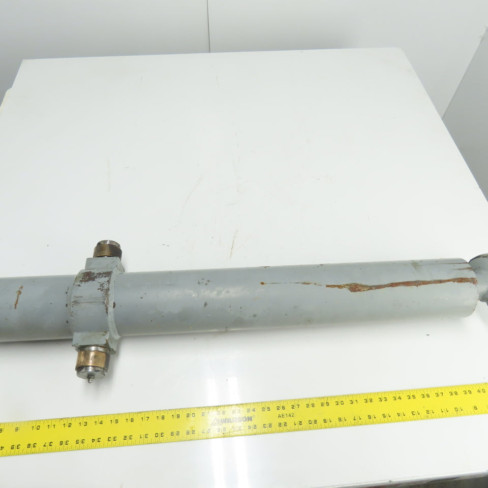Dual Dok Dual Dok Hydraulic Lift Cylinder 30" Stroke Trunnion Mount
