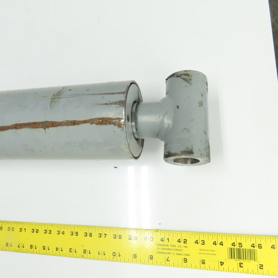 Dual Dok Dual Dok Hydraulic Lift Cylinder 30" Stroke Trunnion Mount