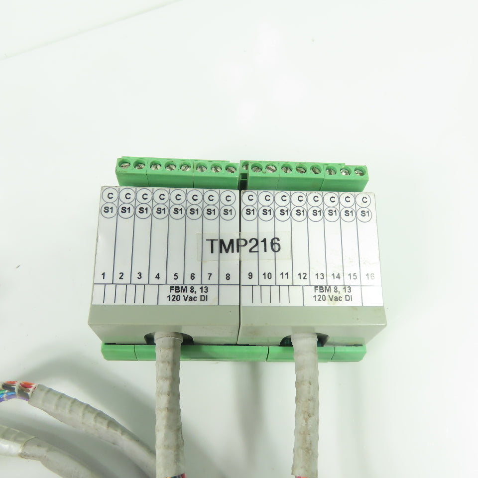 Foxboro DM500SC Rev C Termination Cable Assembly