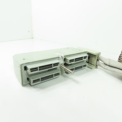 Foxboro DM500SC Rev C Termination Cable Assembly