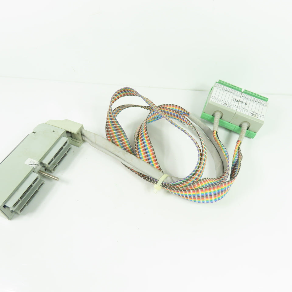 Foxboro DM500SC Rev C Termination Cable Assembly