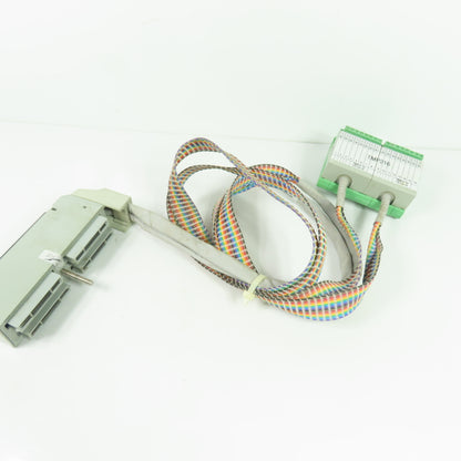 Foxboro DM500SC Rev C Termination Cable Assembly