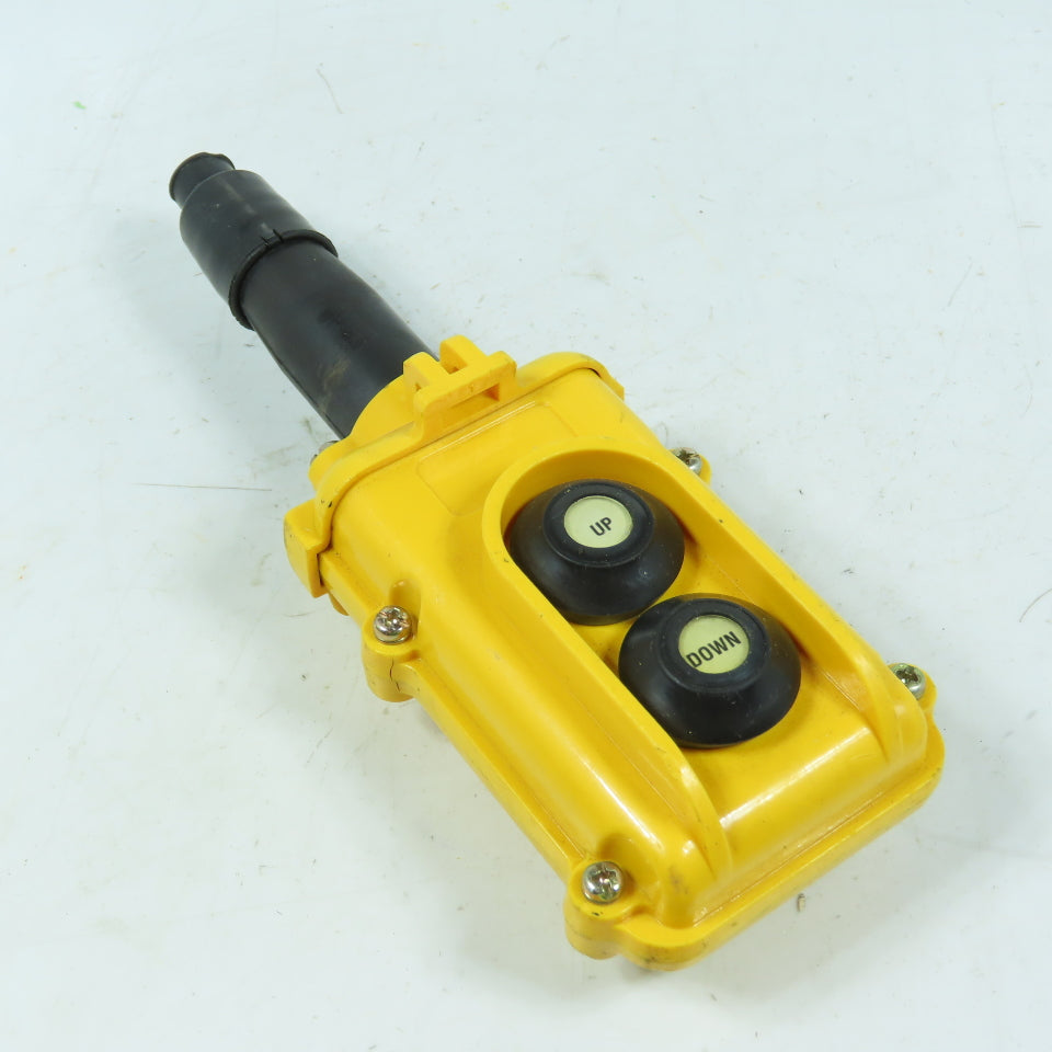 Electromotive Systems SBP 2-Button Pendant Pushbutton Station Up/Down 250V