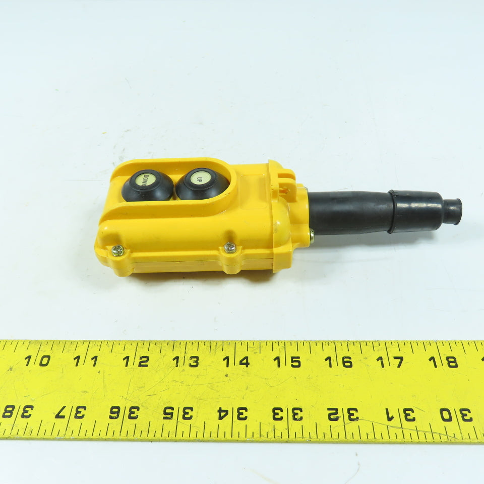 Electromotive Systems SBP 2-Button Pendant Pushbutton Station Up/Down 250V