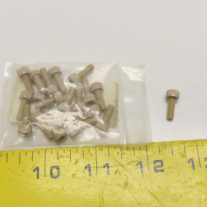NBK SPE-M 4*12-C M4 x .7mm x 12mm Long PEEK Plastic Socket Head Cap Screw Lot/20