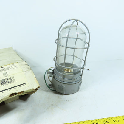 Appleton WFC1050G 100W Vaporproof Wall/Ceiling Light Fixture with Guard